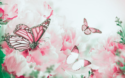869419 (a): :2880x1800